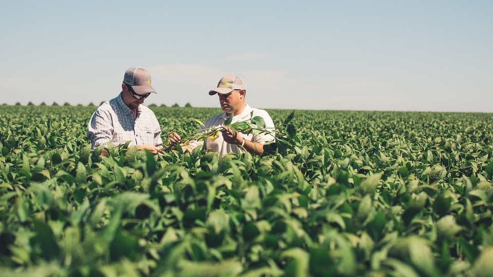 Helena Reveals Lessons Learned from Tissue Sampling