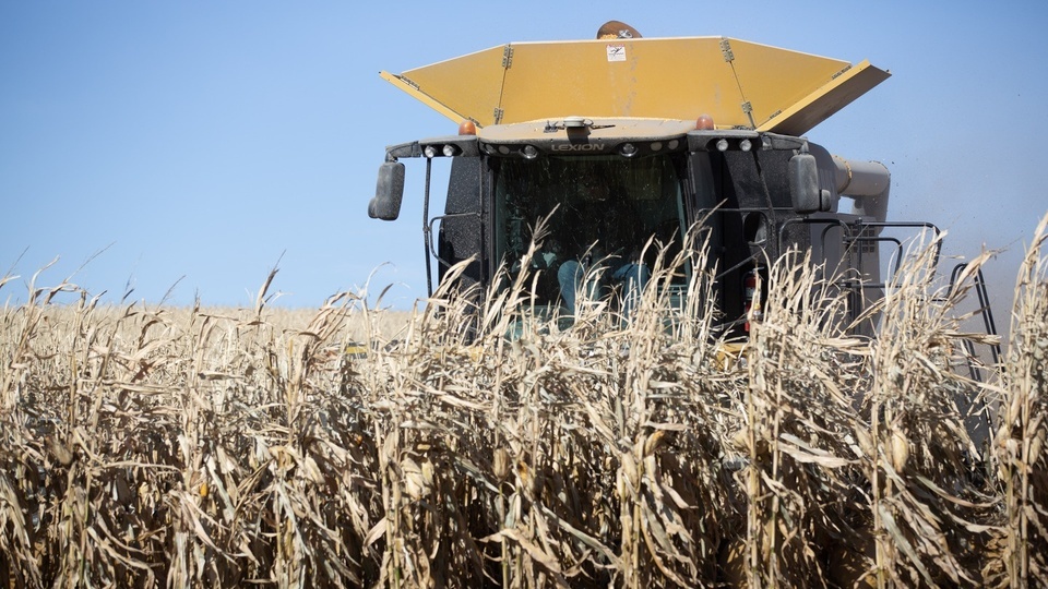 Weed Control Year-End Review