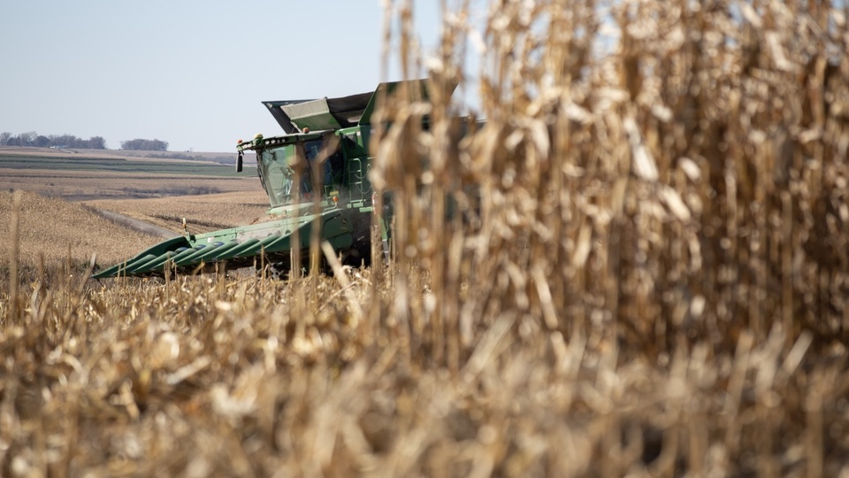 Choosing the Right Seed for 2023