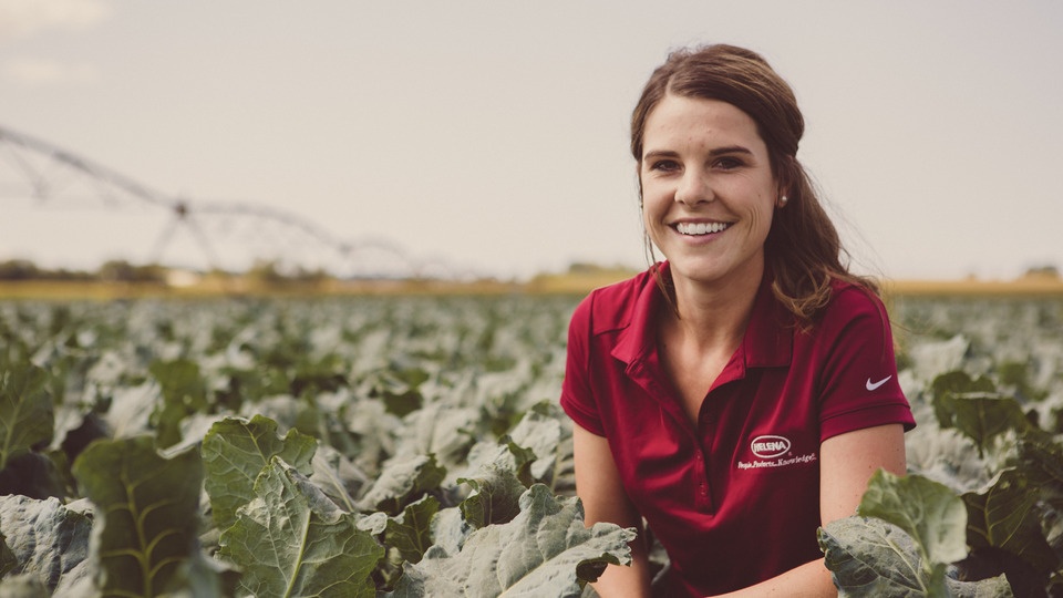 A New Leader Emerges in the Fruit and Vegetable Industry