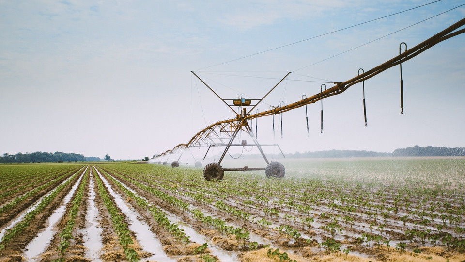 Managing Heat Stress