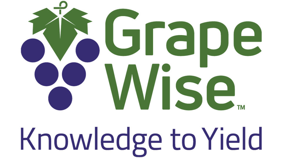 The Critical Importance of Sampling in Grape Production