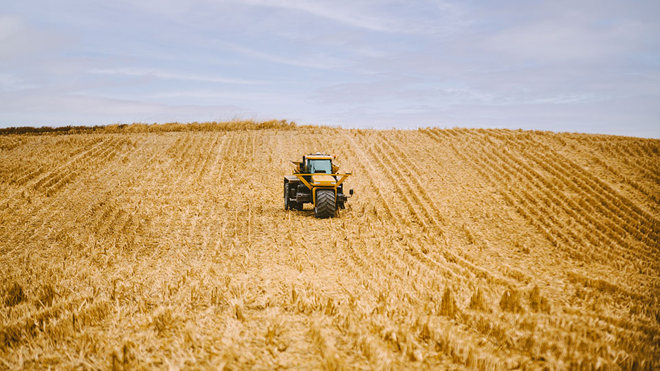 Balanced Fertilizer Blends Increase Efficacy & Yield