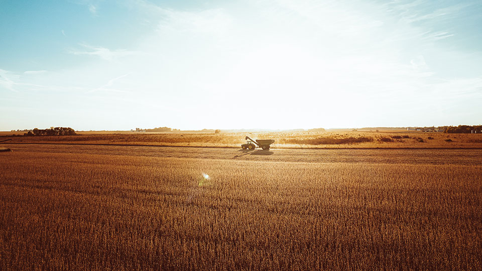 The Dicamba Tug of War….Now What?