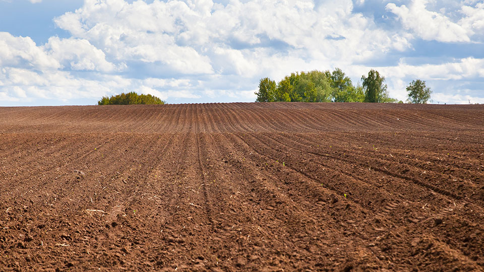 Put Life Back Into the Soil
