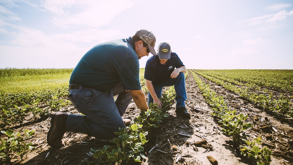Bean Wise: Protecting Soybean Seed from the Biggest Threats