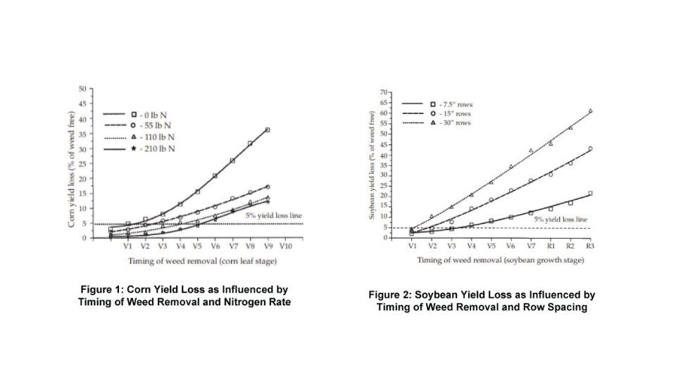 The Cost of Uncontrolled Weeds