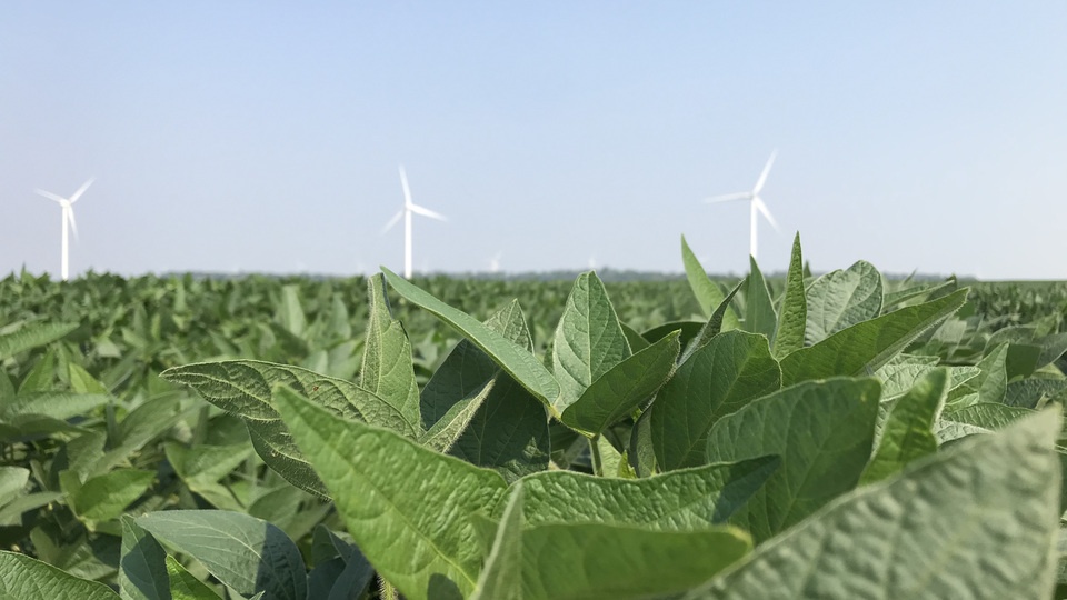 Farmers Face Season-Defining Stretch in Coming Weeks