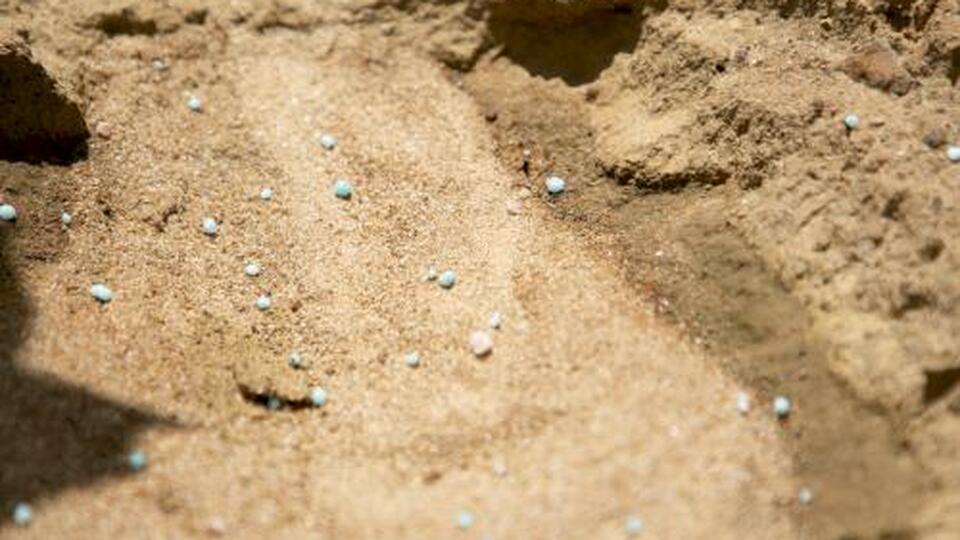 Fertilizer is a vital component for both food and global security