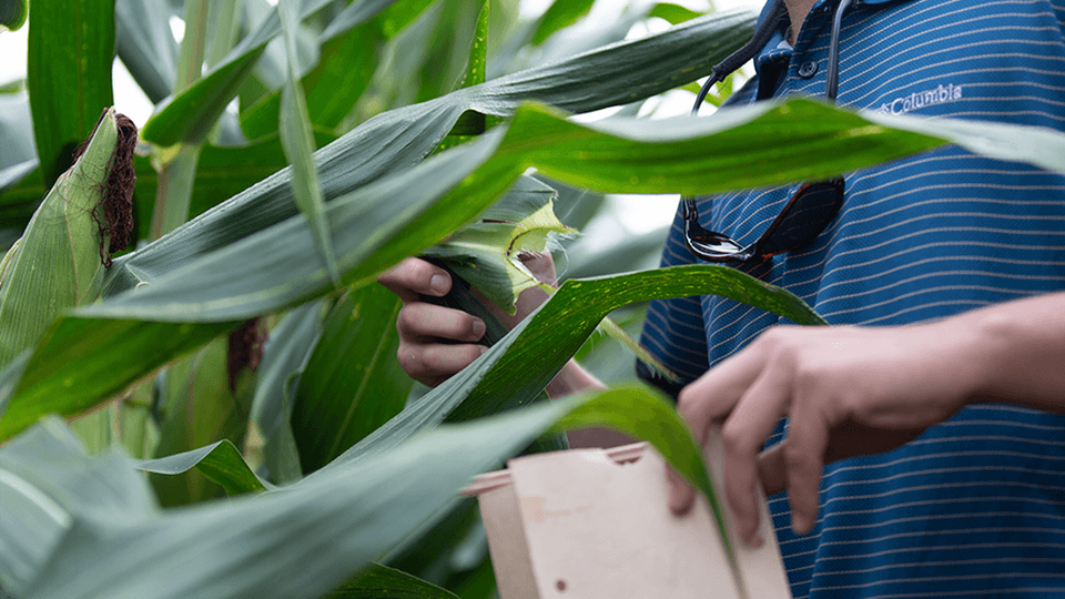 Keeping an Eye on Nutrition After Heavy Rainfall