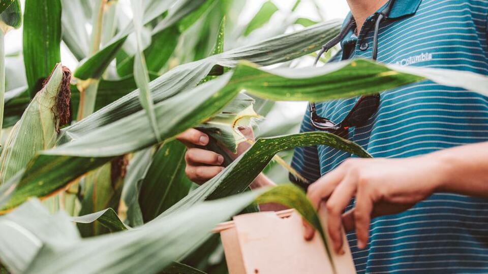 Lessons From 2024: Fertility Planning for a Productive 2025