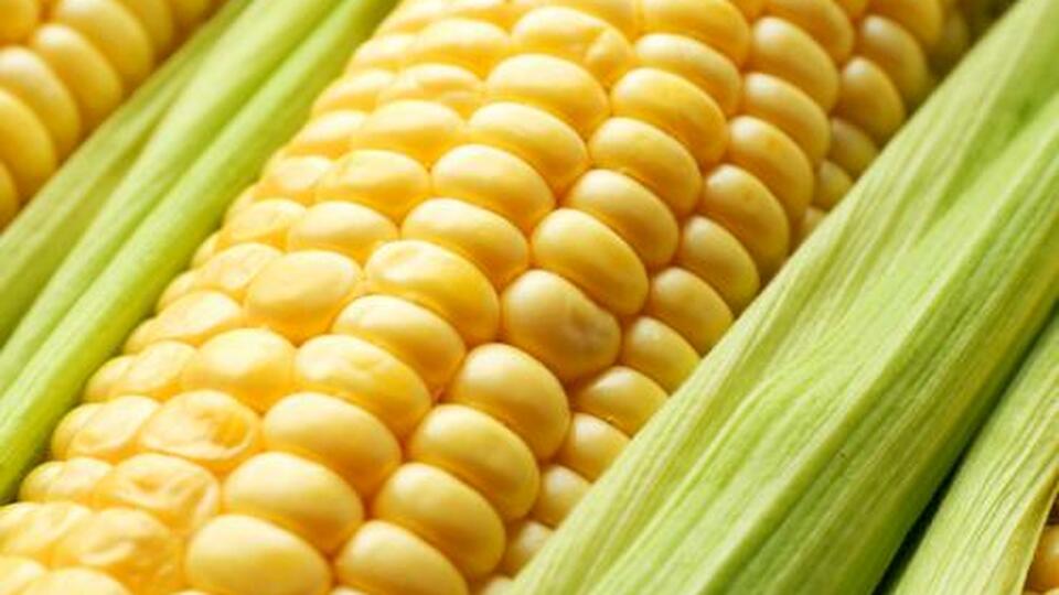 What does Lulu Lemon and the Iowa Corn Promotion Board have in common? More than you’d expect!