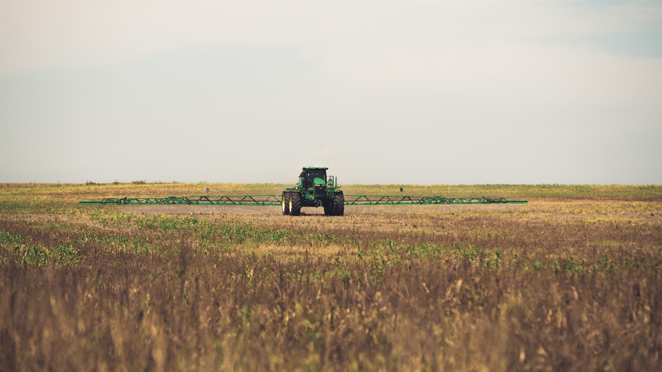 Weed Control on a Budget