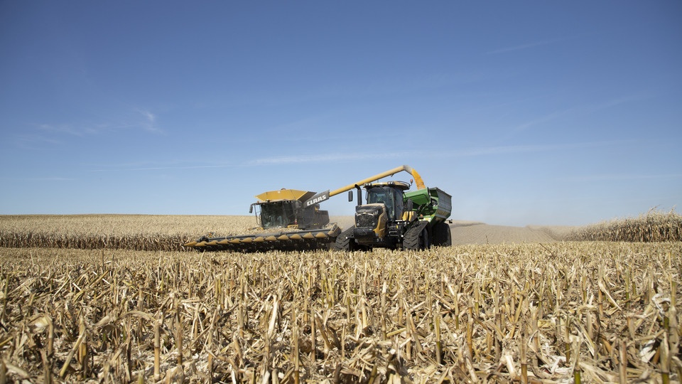 Harvest Reflections, Future Directions: Evolving Herbicide Strategies for Growers