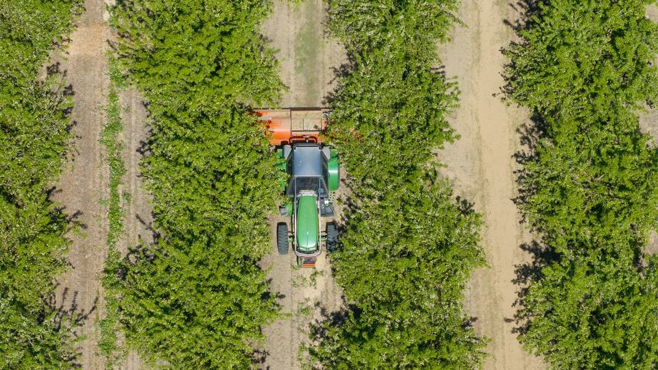 Be Almond Wise: The Next Almond Season Starts Now