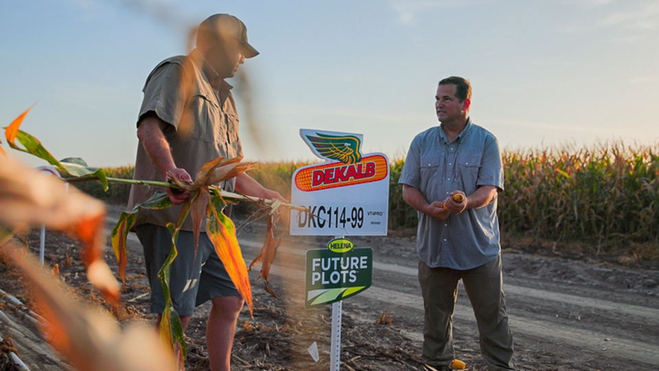 Seeing the Next Big Thing: Inside Helena’s Future Plots