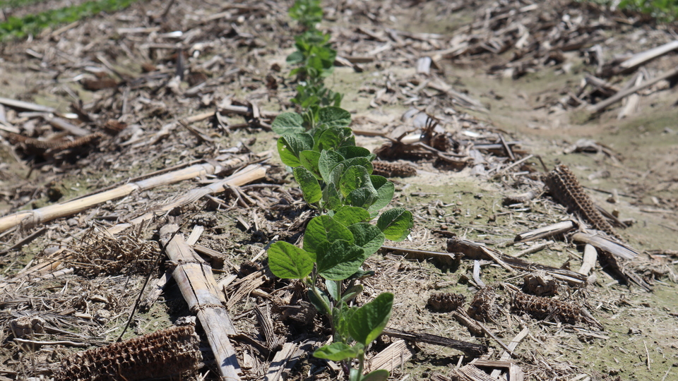 Building Resilient Fields: The Role of Herbicides in Integrated Crop Management