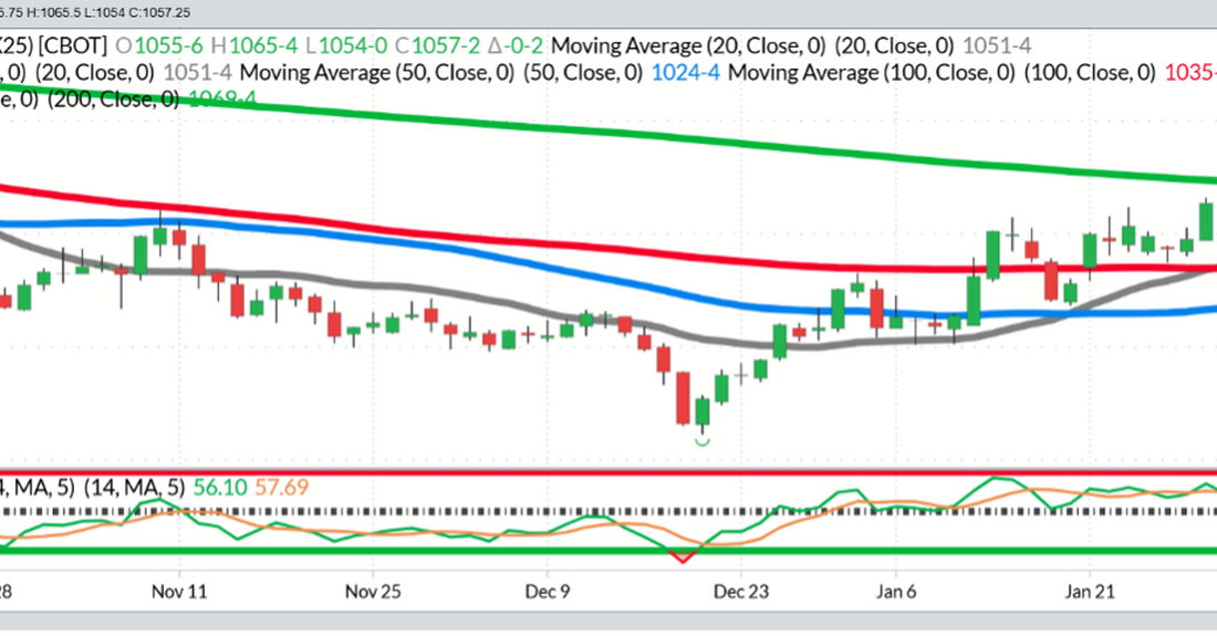 November Beans – Daily