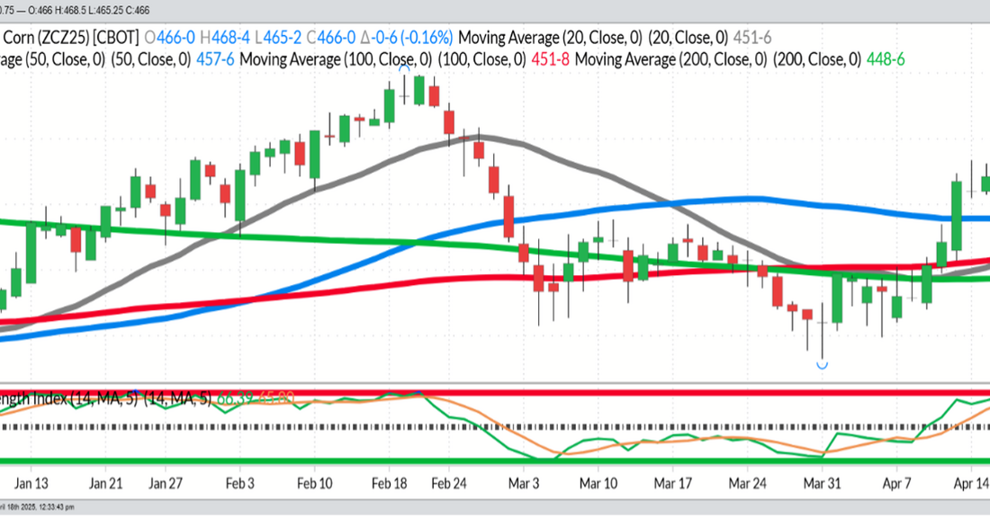 December Corn – Daily – Funds long 490 MBU