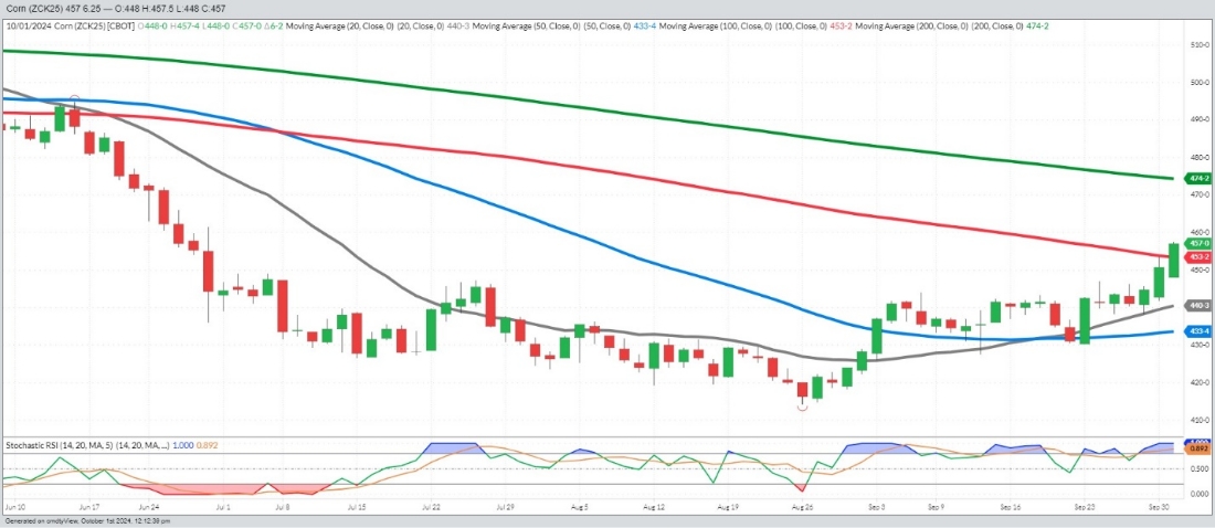 November Beans – Daily – Funds short 15 MBU