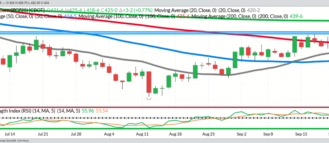 Dec Corn- Daily
