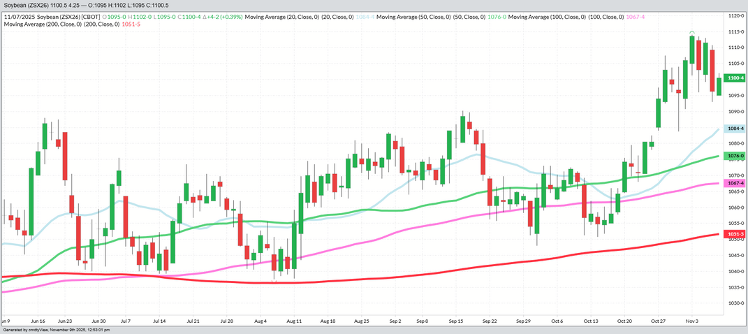 November 2026 Beans – Daily