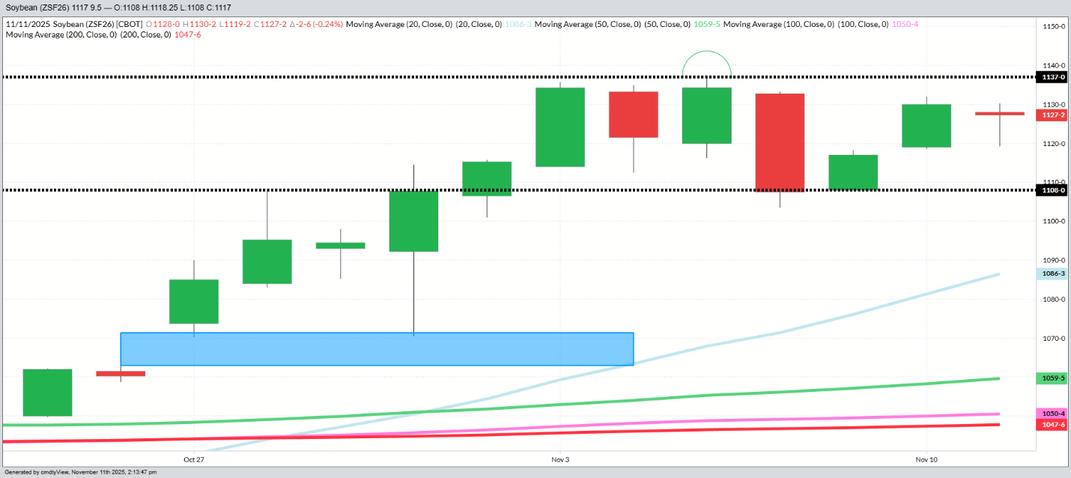 November Beans – Daily (Funds Long 300 MBU)