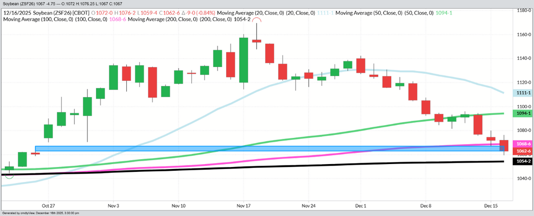 January Beans – Daily