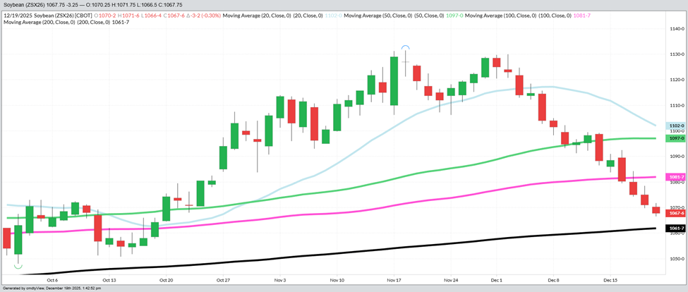 November 2026 Beans – Daily