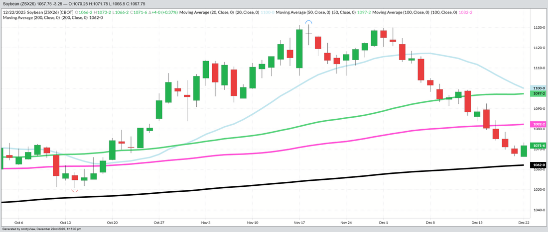 November Beans - Daily