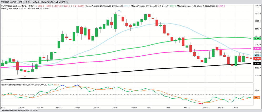 November 2026 Beans – Daily