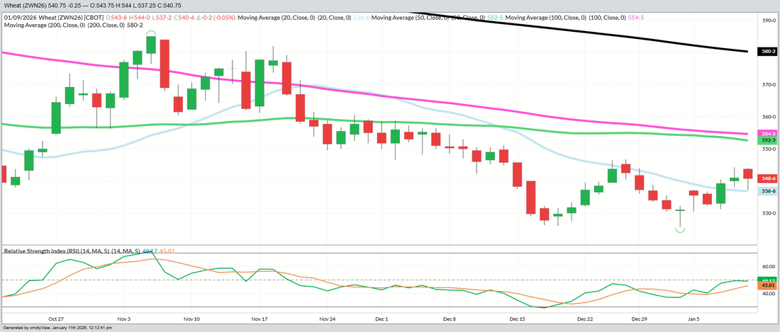 July 2026 Wheat – Daily
