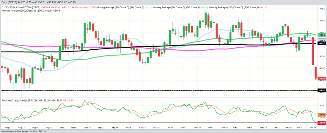 December Corn - Daily