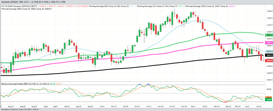 November Beans - Daily