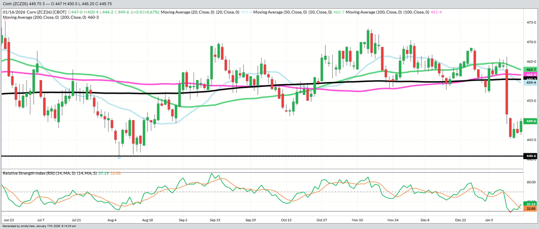 December 2026 Corn – Daily (Funds Short – 300 MBU)