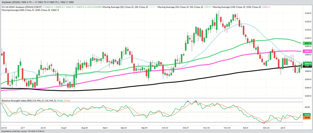 November 2026 Beans – Daily (Funds Short – 250 MBU)
