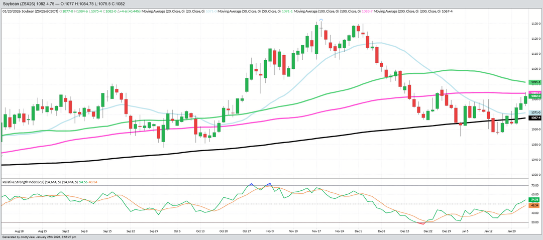 November 2026 Beans – Daily (Funds Short – 150 MBU)