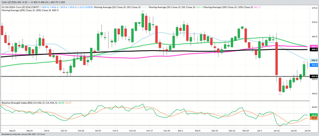 December Corn – Daily