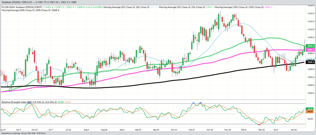 November Beans – Daily
