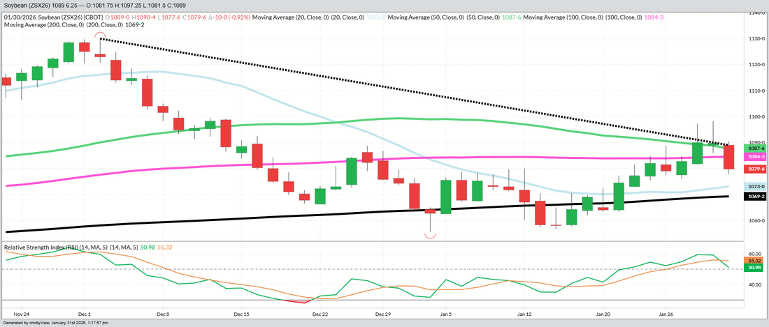 November 2026 Beans – Daily (Funds Short – 85 MBU)