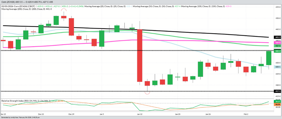 March Corn– Daily	(Funds short 300 MBU)