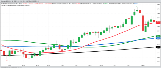November Beans – Daily