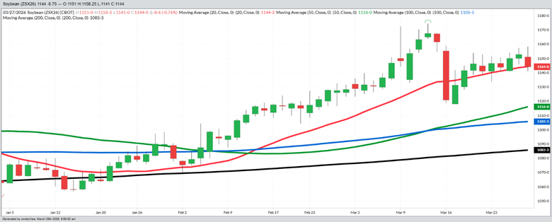 November Beans – Daily