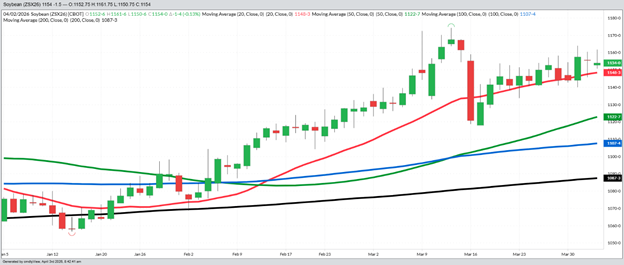 November Beans – Daily