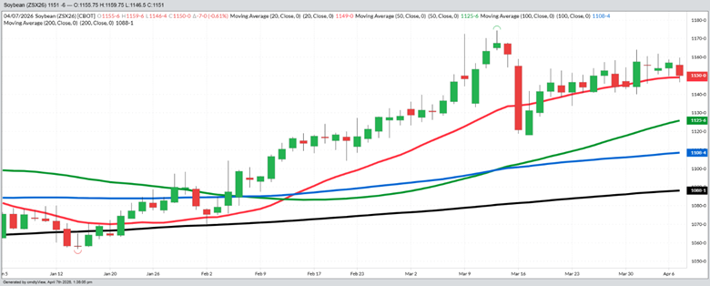 November Beans - Daily