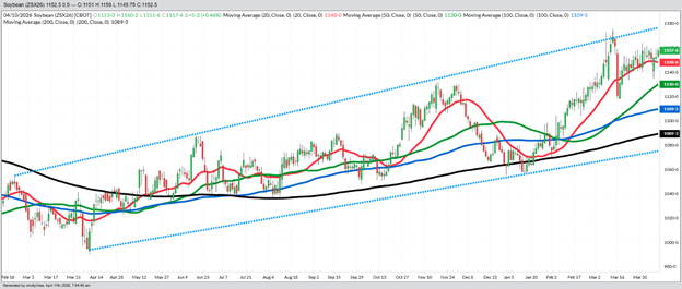 November Beans – Daily