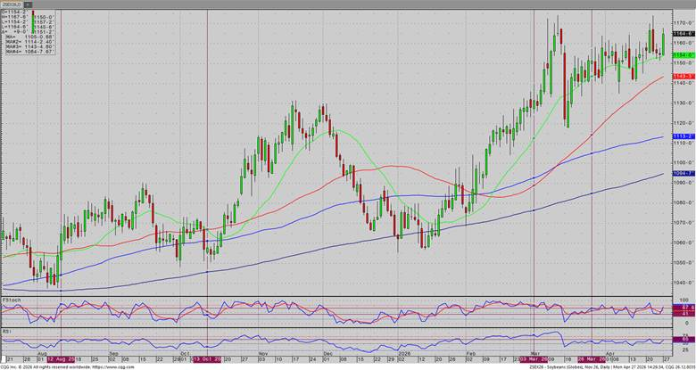 November Beans – Daily