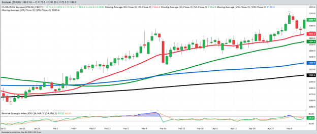 November Beans – Daily