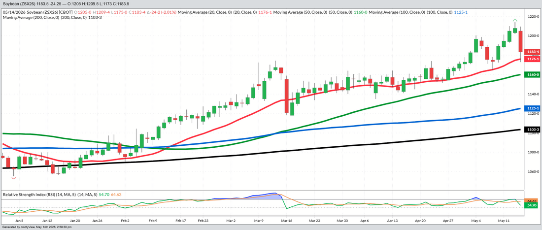 November Beans– Daily