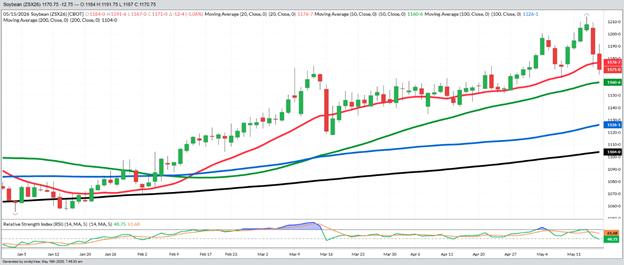 November Beans – Daily